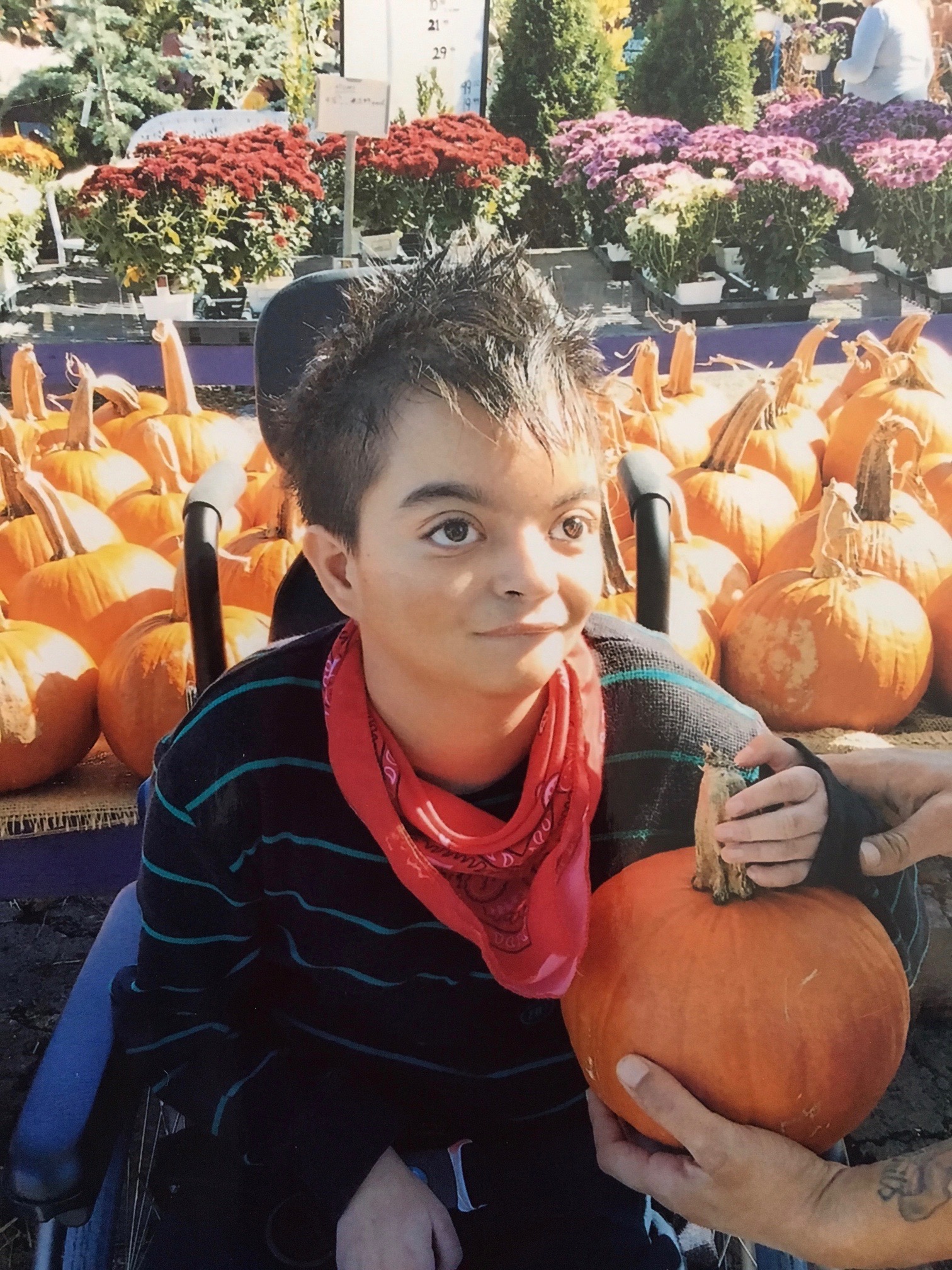 In Memory of Anthony Lehrer